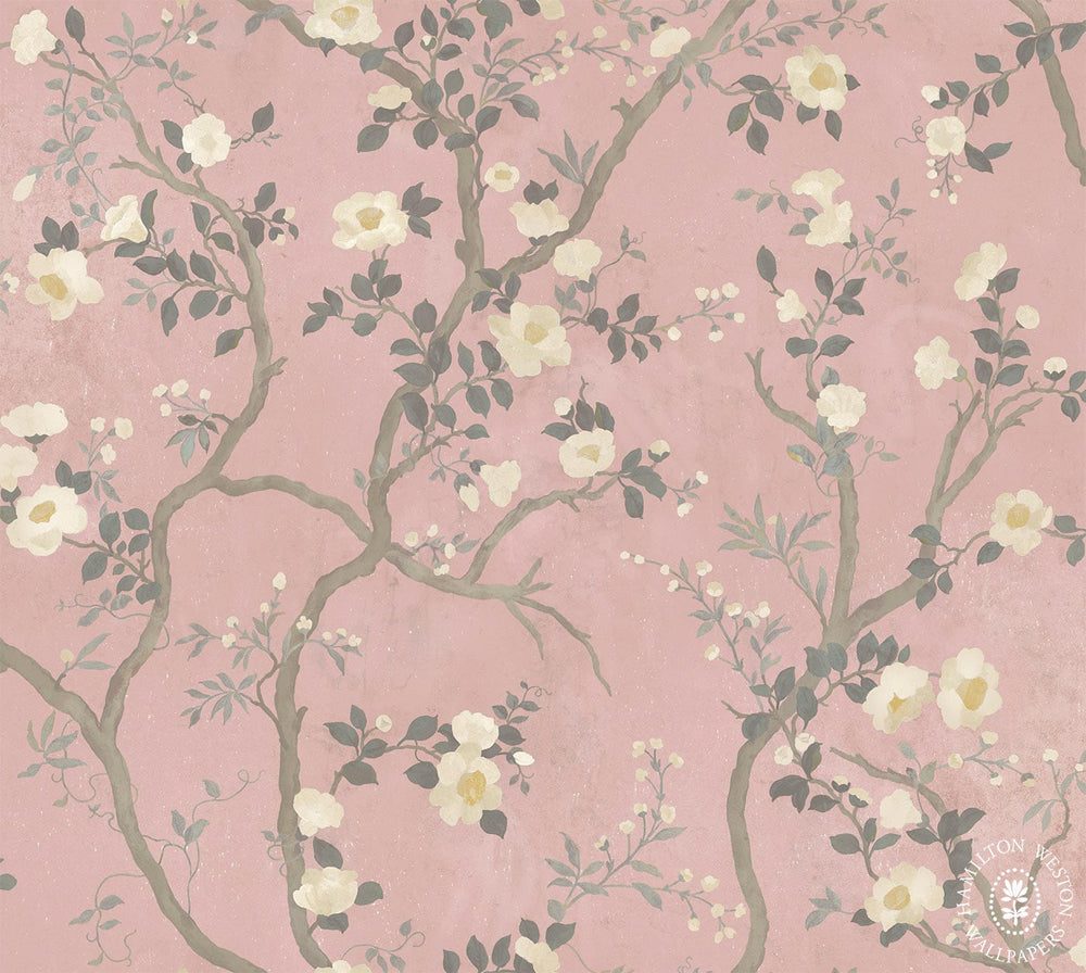 Hamilton-west-wallpaper-flora-roberts-camillia-trailing-blooms-soft-vintage-background-camillia-flower-leaves-branches-dusky-pink