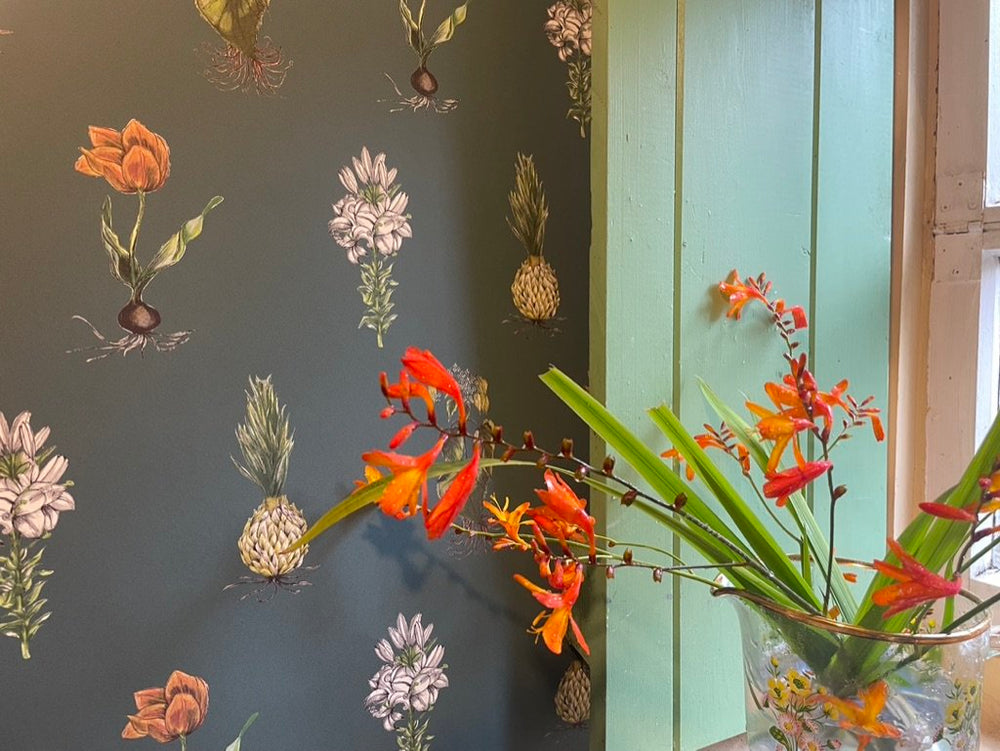 jojo-trixie-botanicals-wallpaper-dark-green-repeated-print-bulbs-flowers-plants