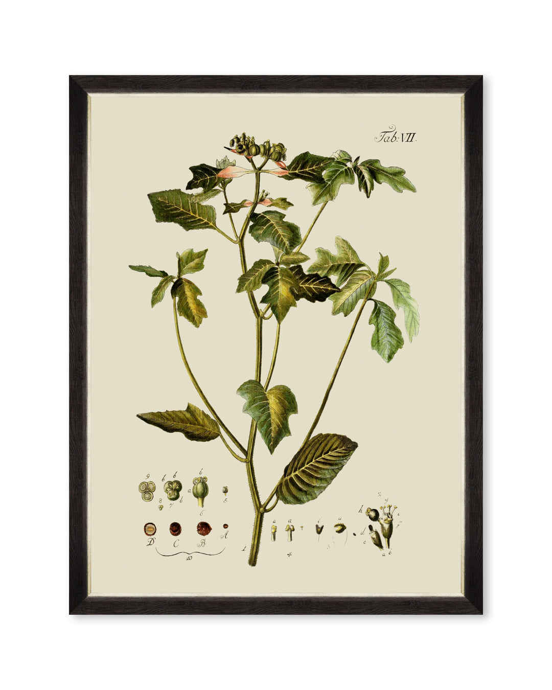 mind-the-gap-botanical-framed-art-florals