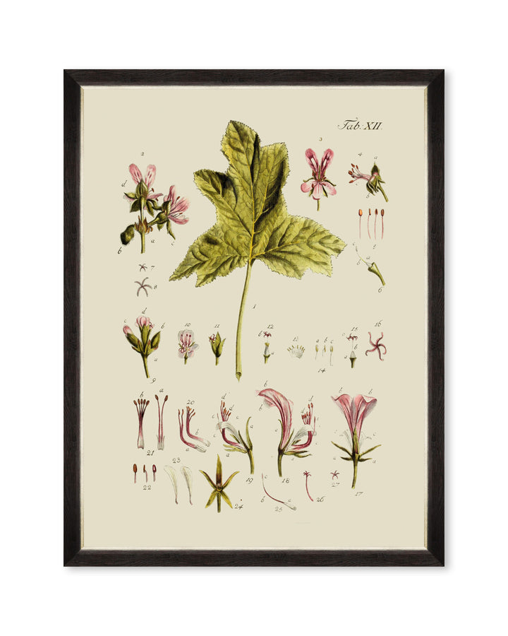 mind-the-gap-botanical-framed-art-florals