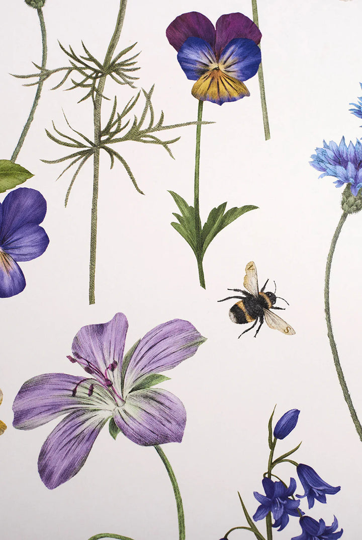 Victoria-Sanders-wallpaper-Botanica-Chalk-white-background-boquett-dancing-florals-hand-drawn-flowers-delicate-spring-field-floral-print-illustrated-luxury-wallpaper