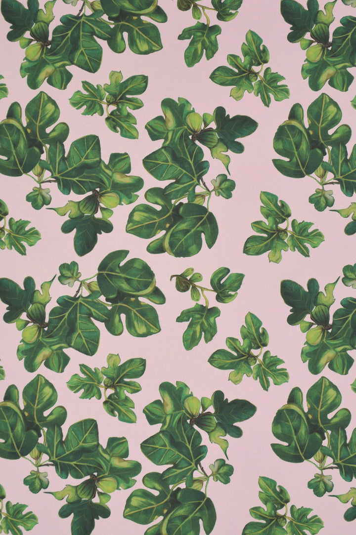 jojo-trixie-wallpaper-pink-fig-leaves