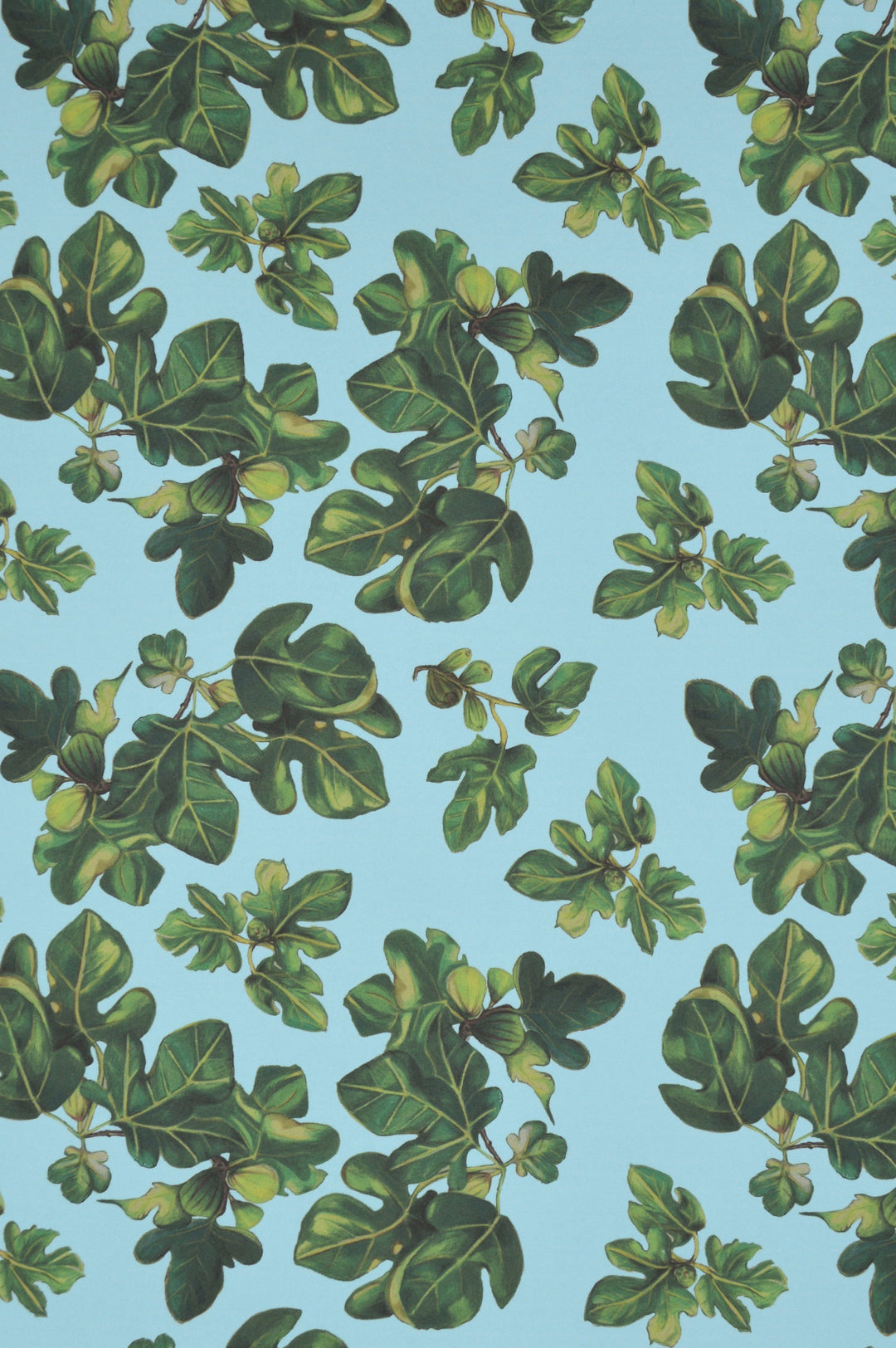jojo-trixie-wallpaper-blue-fig-leaves