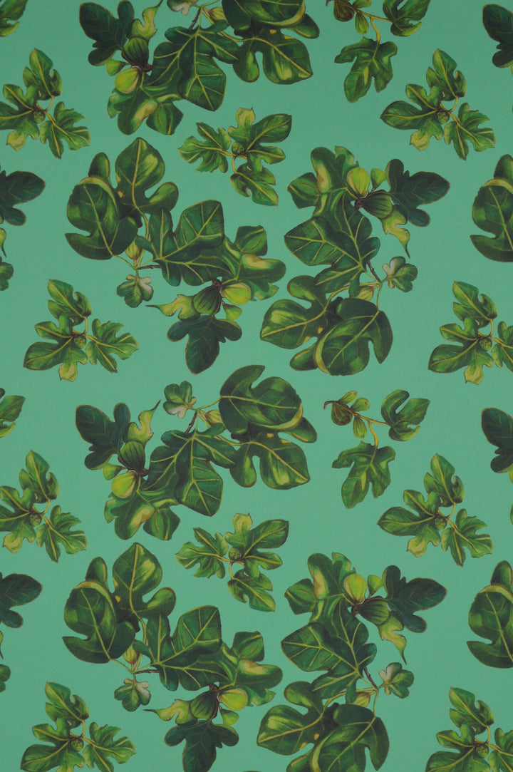 jojo-trixie-wallpaper-green-fig-leaves