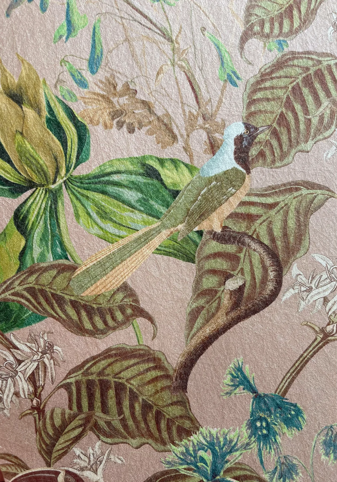 Deus-ex-Gardenia-wallpaper-Cinder-Rose-French-Toile-design-leaves-birds-subtle-woven-background-jasmine-leaves-Cinder-rose-Pink
