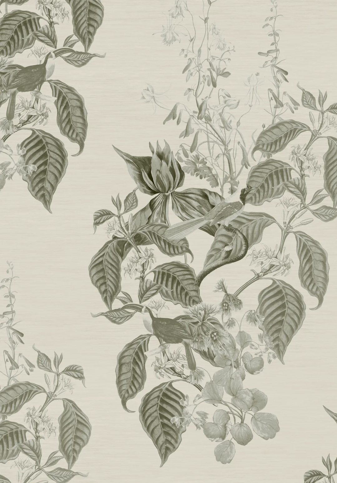 Deus-ex-gardenia-Aviary-French-Gray-DG134-AI-FRE-S-french-tiole-design-jasmine-trailing-garden-birds-hand-illustrated-wild-meadows