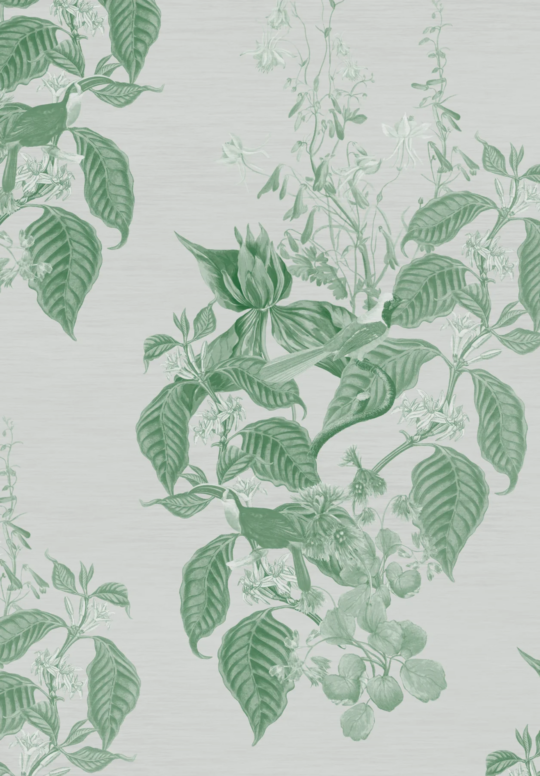 Deus-ex-Gardenia-Aviary-Isle-Wallpaper-Leaf-green-white-garden-French-Toile-design-trailing-Jasmine-birds-hand-illustrated-print
