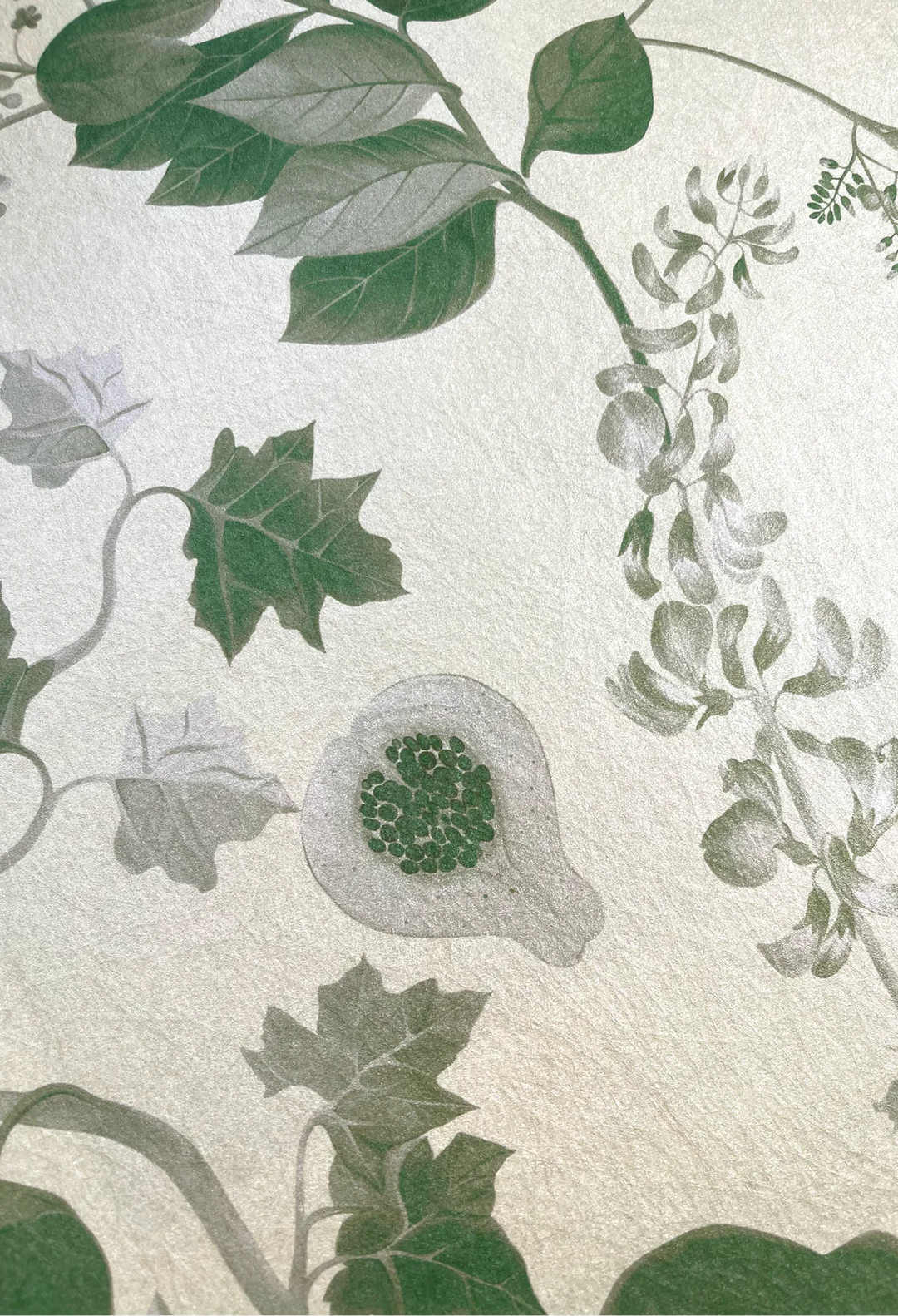 Deus-ex-gardenia-wallpaper-eden-botanical-print-hand-illustrated-exotic-palms-forbidden-fruits-print-fern-green-print-white-background