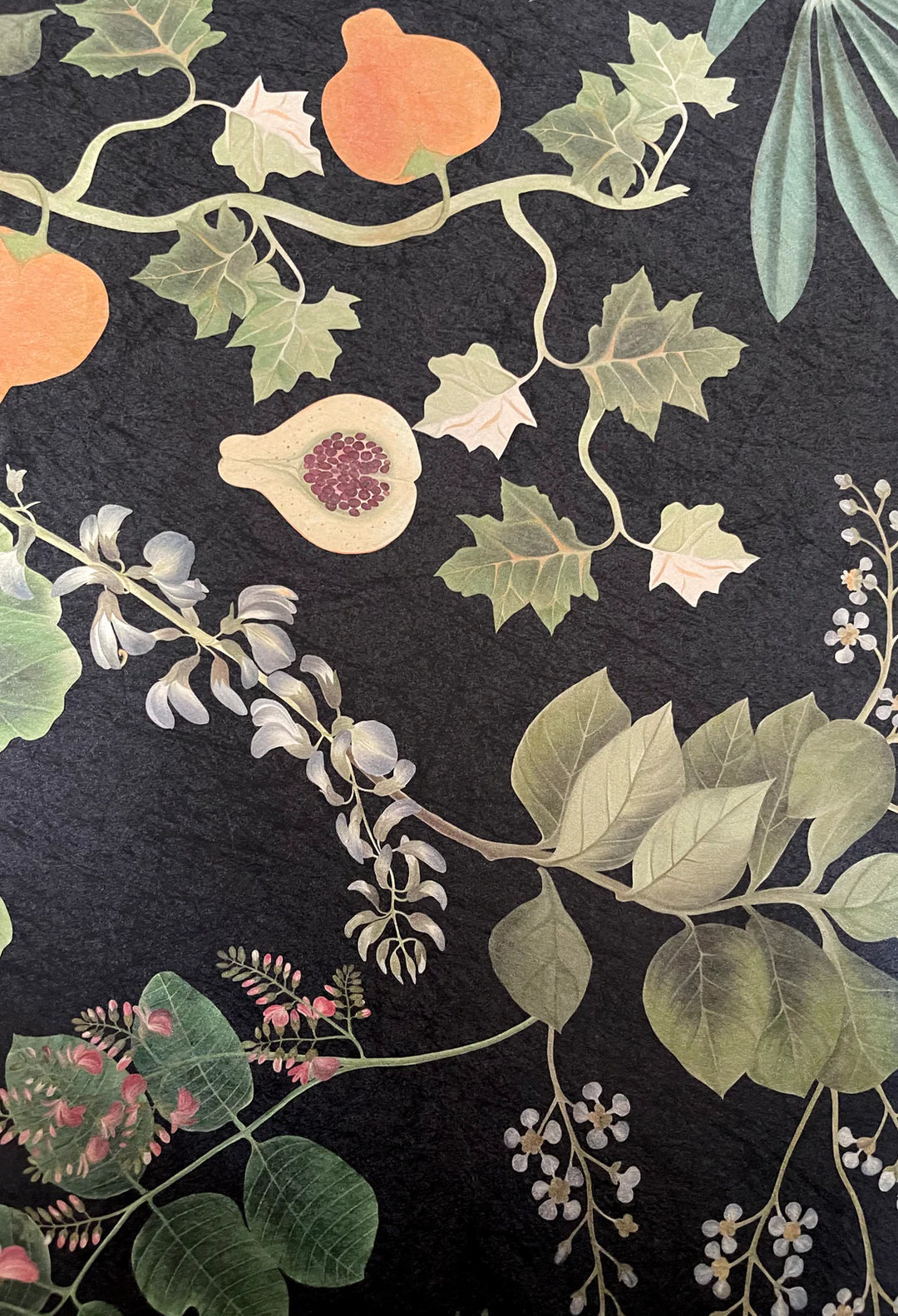 Deus-ex-gardenia-wallpaper-eden-night-botanical-print-hand-illustrated-exotic-palms-forbidden-fruits-print-night-green-pink-blue-orange-print-black-background