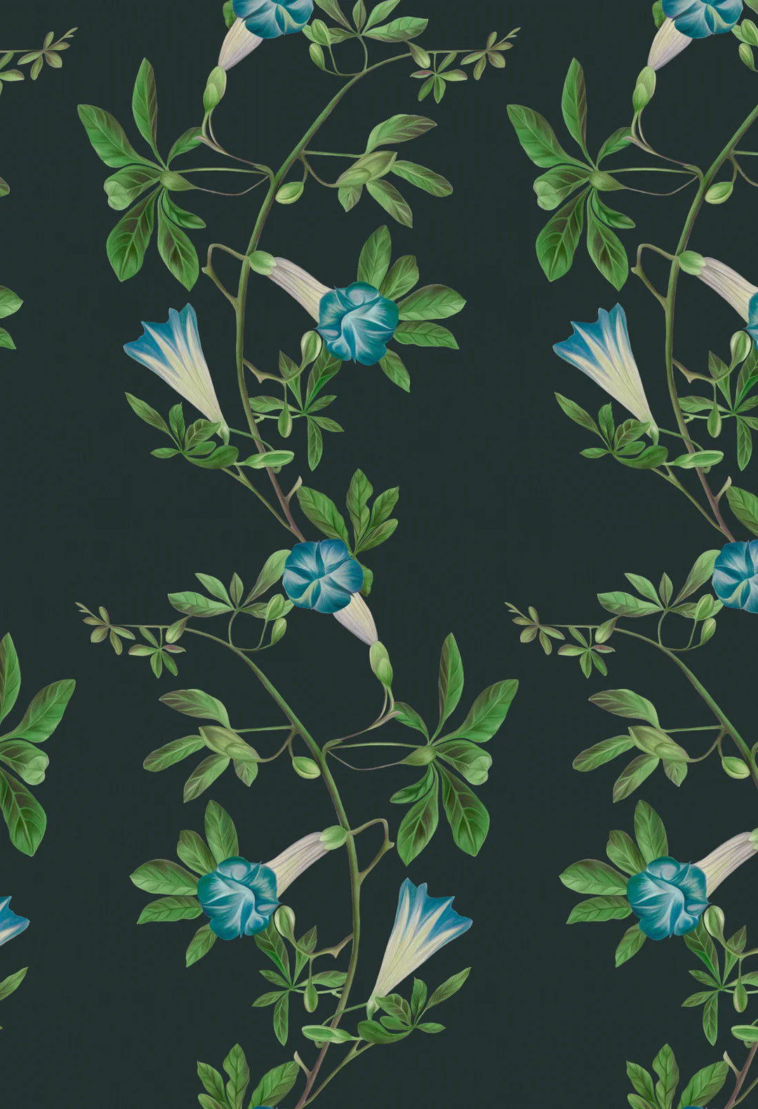 Deus-ex-gardenia-wallpaper-Midsummer-wallpaper-trialing-vines-and-flowers-french-toile-british-garden-leafy-trellis-hand-illustrated-pattern-linen-blue-green-print-on-white-background