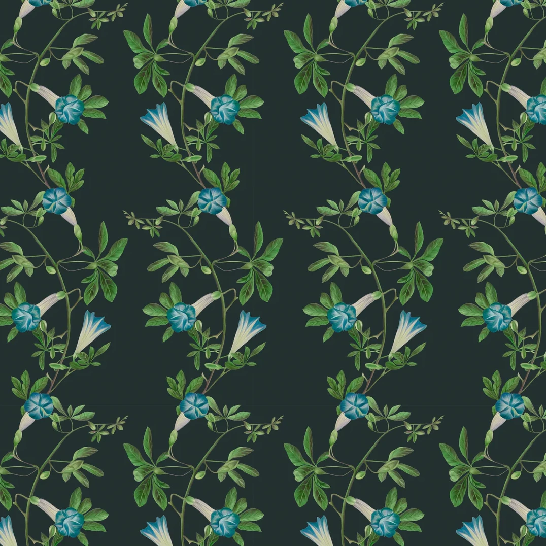 Deus-ex-gardenia-wallpaper-Midsummer-wallpaper-trialing-vines-and-flowers-french-toile-british-garden-leafy-trellis-hand-illustrated-pattern-Charcoal-blue-green-print-on-black-background