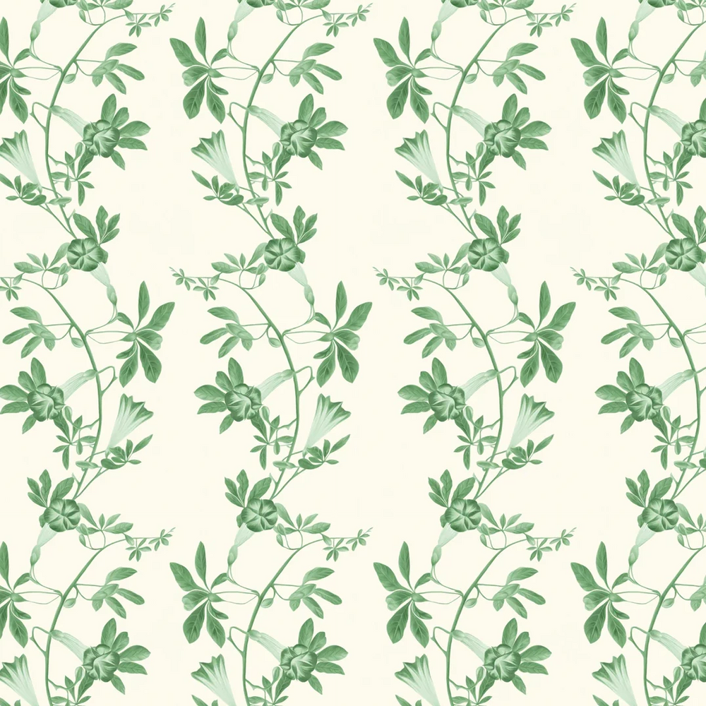 Deus-ex-gardenia-wallpaper-Midsummer-wallpaper-triling-vines-and-flowers-french-toile-british-garden-leafy-trellis-hand-illustrated-patternVine-green-on-white-background