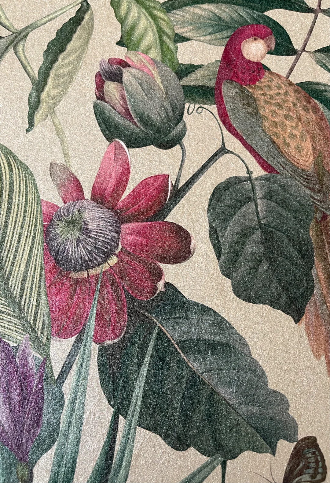Deus-ex-gardenia-Passiflora-wallpaper-Antique-cream-background-columbian-tropical-rainforest-feeling-birds-butterflies-ferns-jungle-hand-illustrated-print-pattern