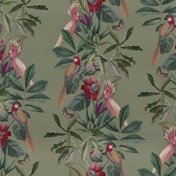 Deus-ex-gardenia-Passiflora-superwide-wallpaper-Sage-green-background-columbian-tropical-rainforest-feeling-birds-butterflies-ferns-jungle-hand-illustrated-print-pattern