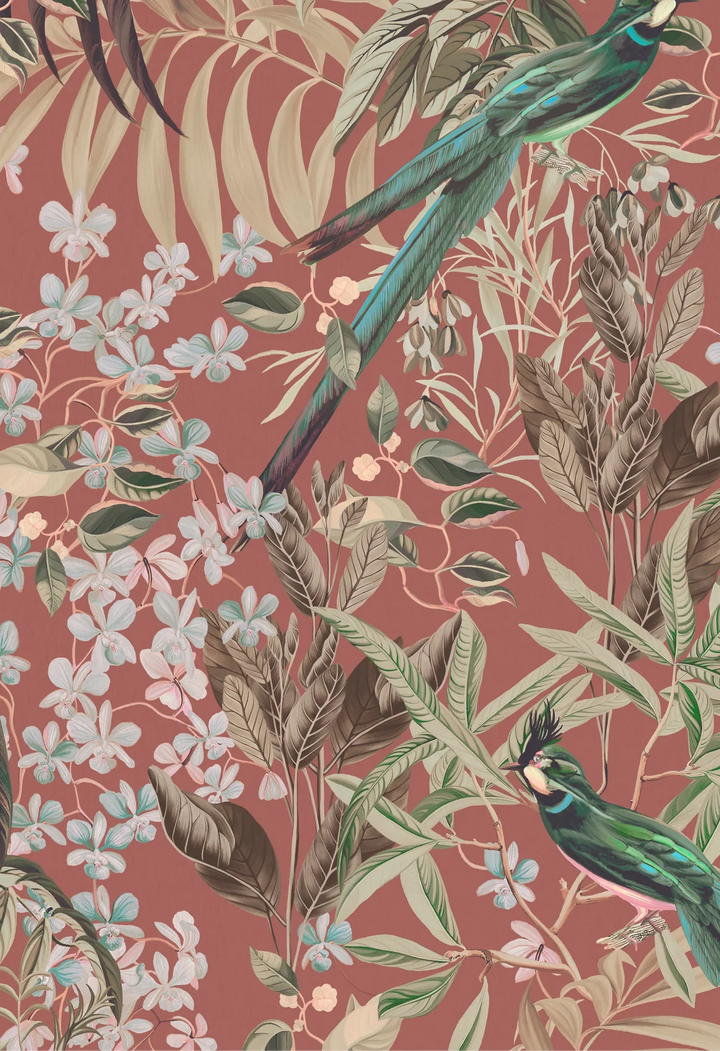 Deus-ex-gardenia-Resplendant-woods-wallpaper-terracotta-warm-brick-coloured-botanical-birds-print-tropical-birds-leaves-antique-style-woodland-theme-classical-hand-illustrated-printed-wallpaper