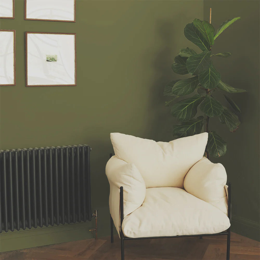coat-paints-pan-green-interior-flat-matt-emulsion-living-room