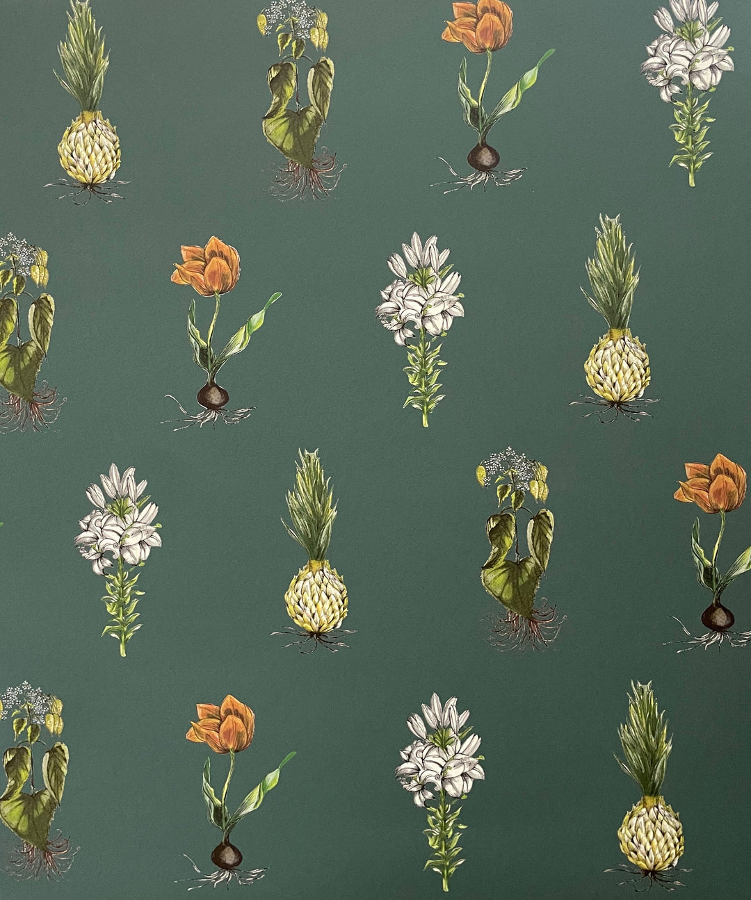 jojo-trixie-botanicals-wallpaper-dark-green-repeated-print-bulbs-flowers-plants