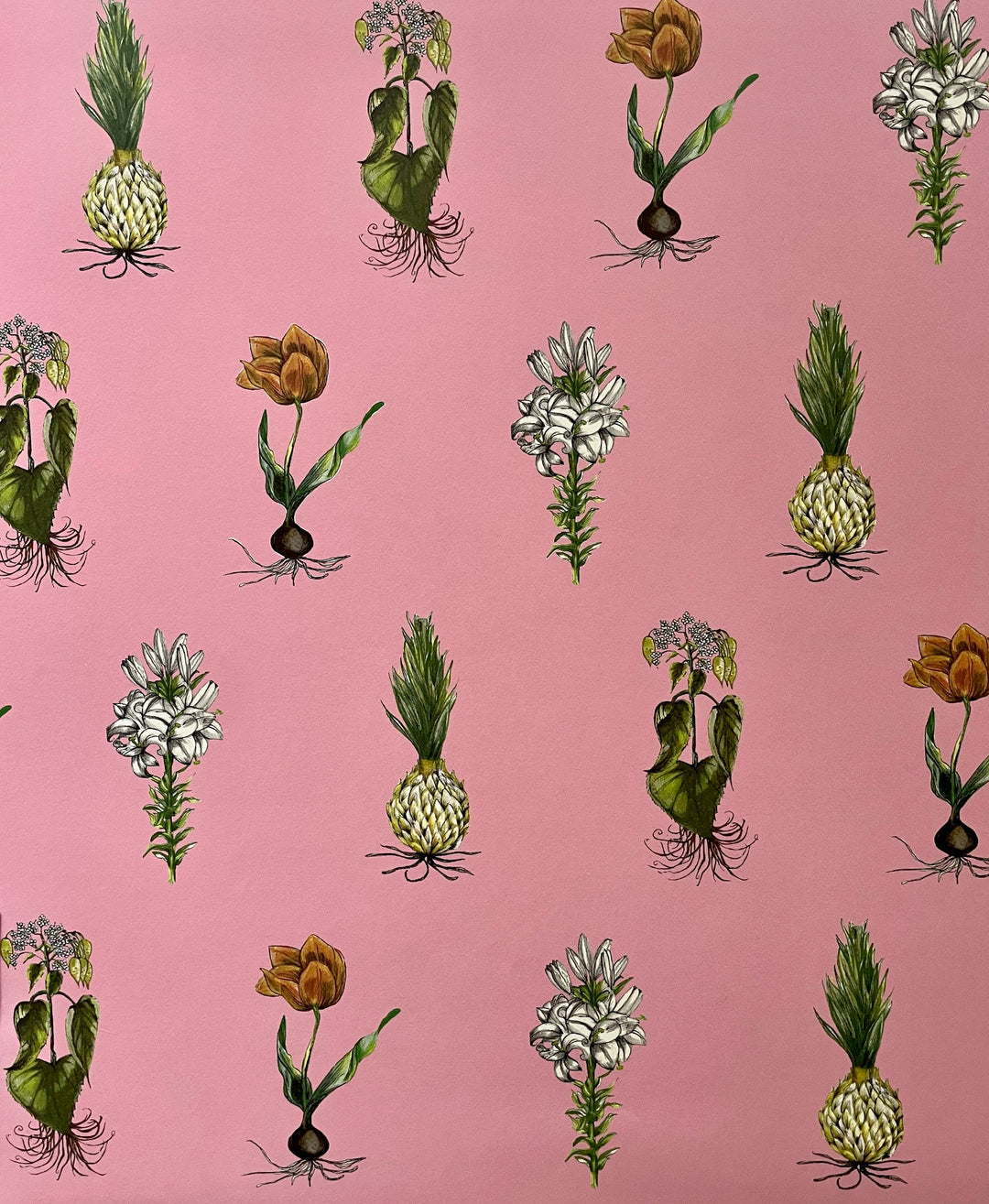 jojo-trixie-botanicals-wallpaper-pink-repeated-print-bulbs-flowers-plants