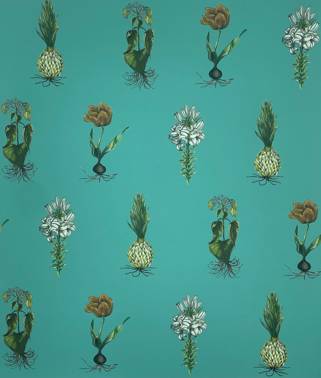 jojo-trixie-botanical-wallpaper-fruits-plants-bulbs-ordered-repeated-wallpaper