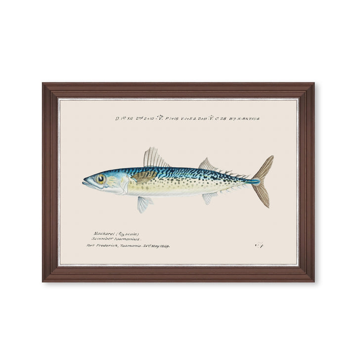 mind-the-gap-blue-mackerel-fish-print