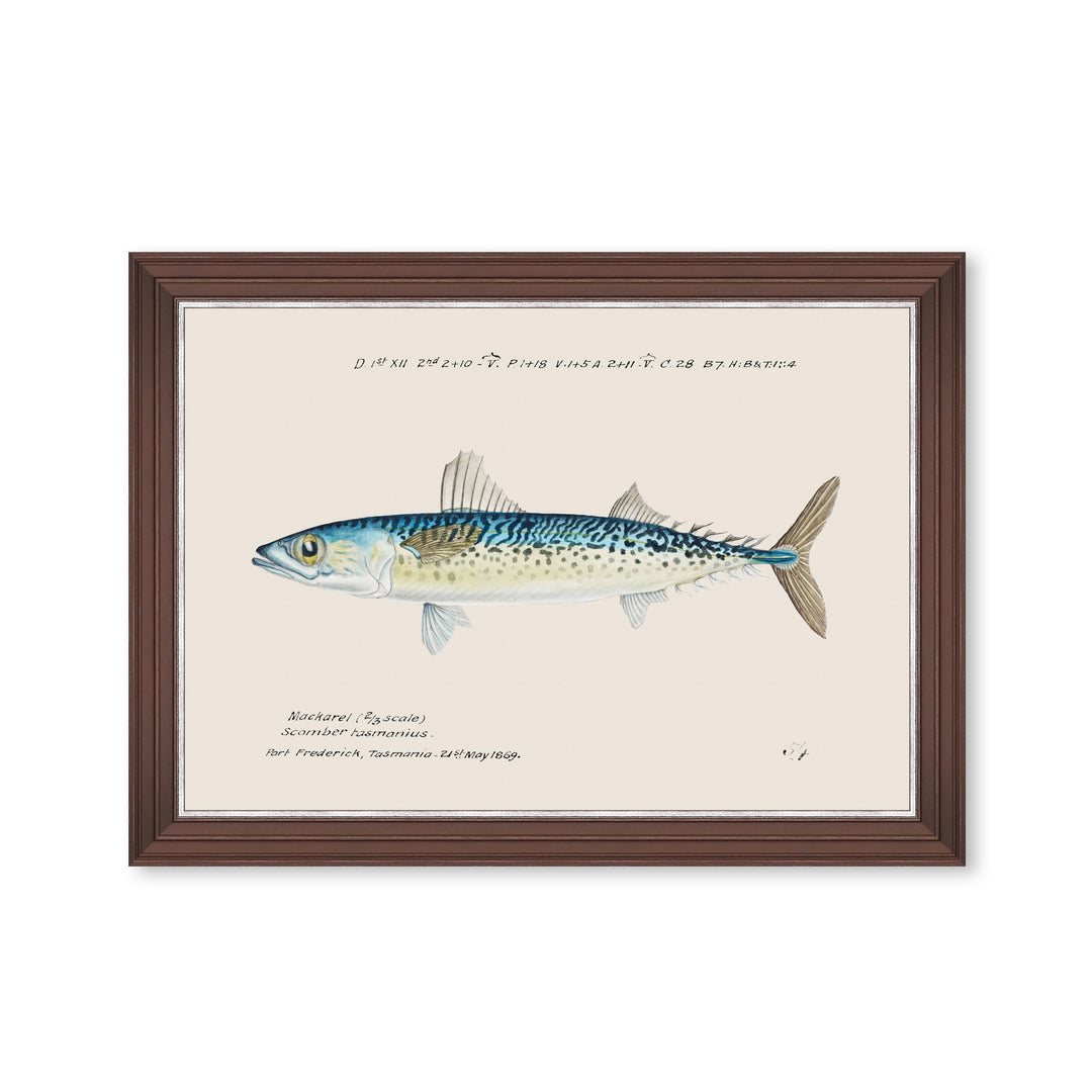 mind-the-gap-blue-mackerel-fish-print