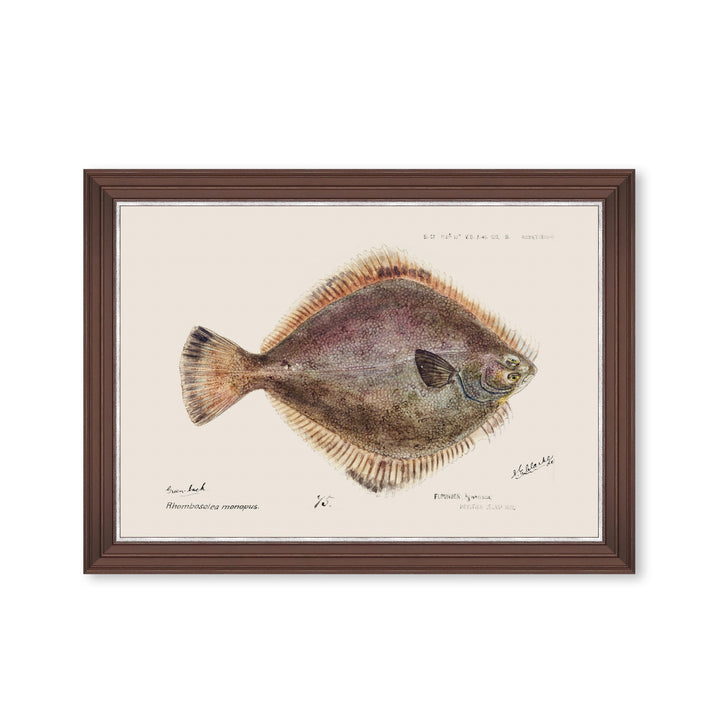 mind-the-gap-flounder-fish-print
