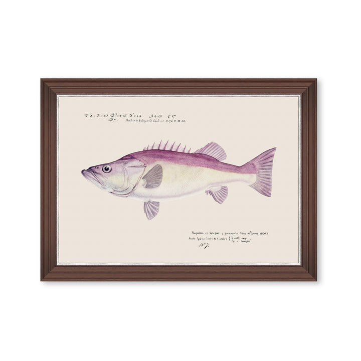 mind-the-gap-grouper-fish-print