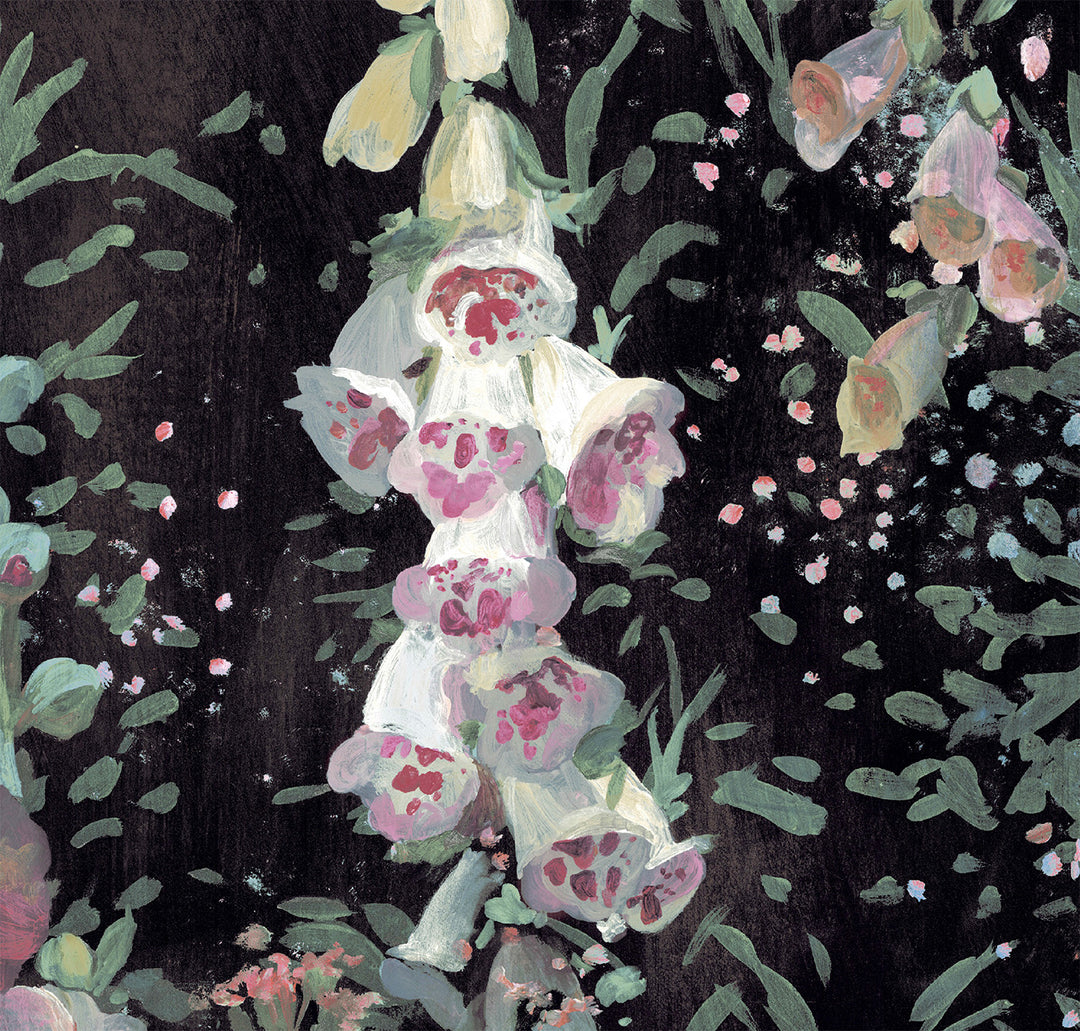 Flora-Roberts-wallpaper-Hamilton-Weston-mightnight-garden-twinkling-flowers-hand-illustrated-mural-foxgloves-black-background-pastel-tones-faded-background-01-Spring