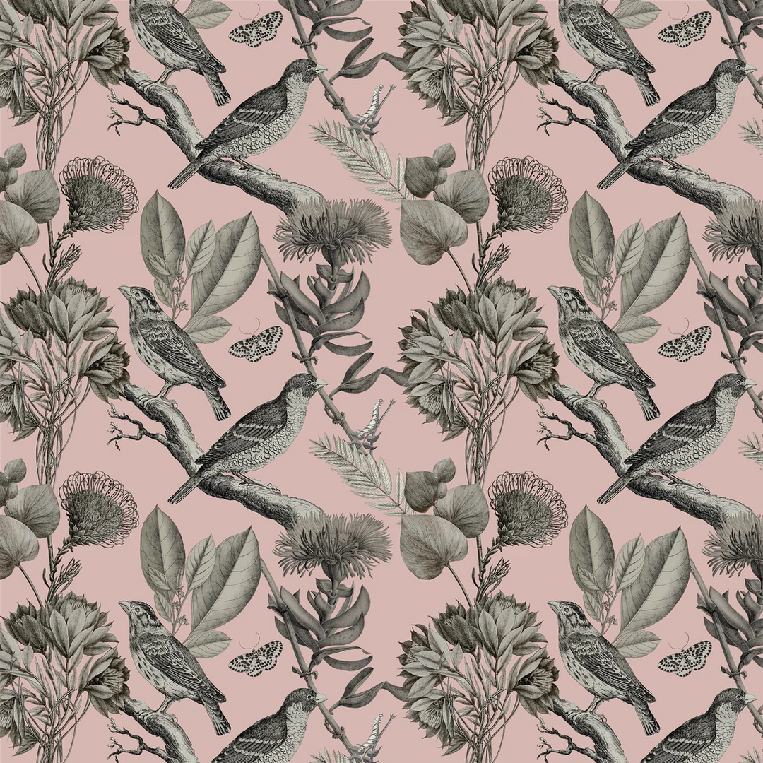 North-and-nether-Moineau-Wallpaper-blush-pink-background-grey-birds-florals-leaves-botanical-french-kiss-collection