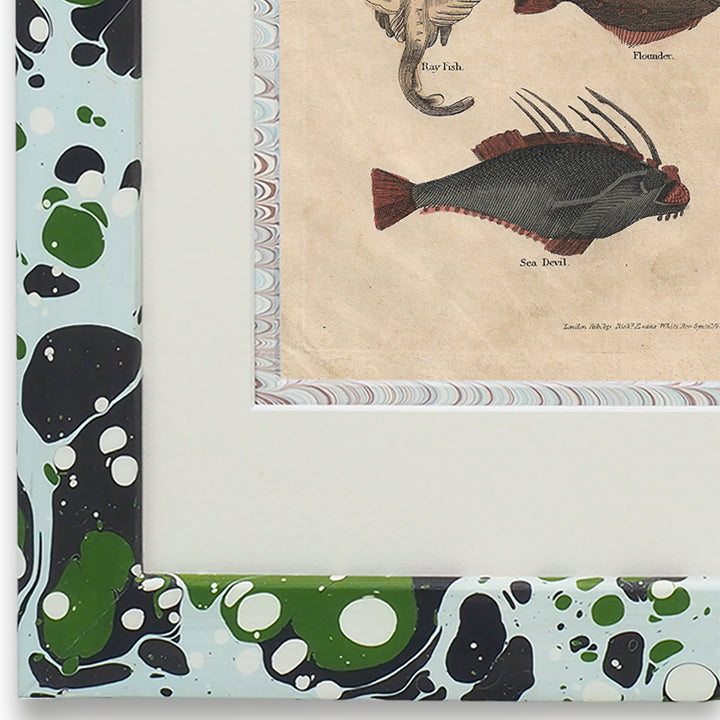 wildmore-birtish-handmade-marbled-framed-art-fish-buffon-no.49-the-design-yard
