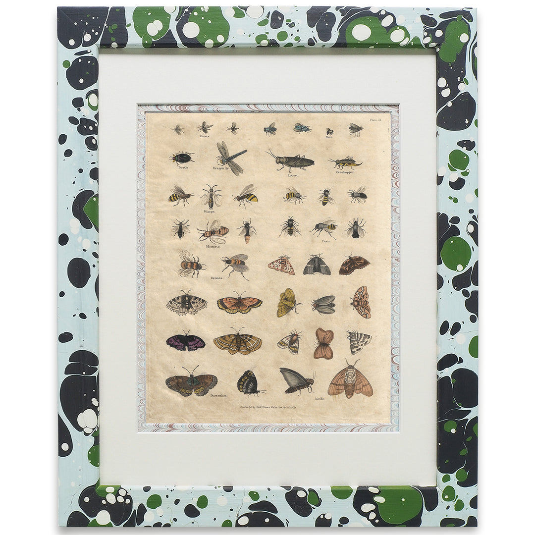 wildmore-birtish-handmade-marbled-framed-art-butterflies-buffon-no.51-the-design-yard