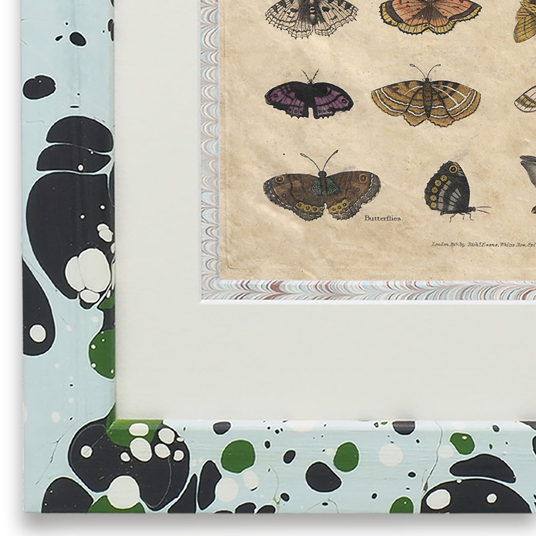 wildmore-birtish-handmade-marbled-framed-art-butterflies-buffon-no.51-the-design-yard