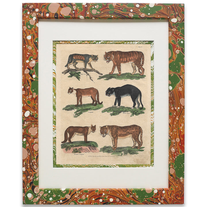 wildmore-the-design-yard-buffon-no.6-igneus-framed-art-marble-animals