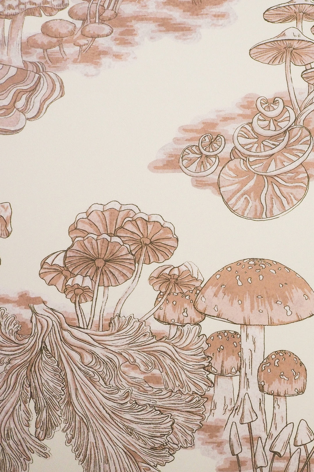 Wildmore-fungi-wallpaper-champignon-off-white-background-surreal-mushroom-tones-print-orchids-mushrooms-scattered-print-hand-painted-digital-reproduced-funky-pattern