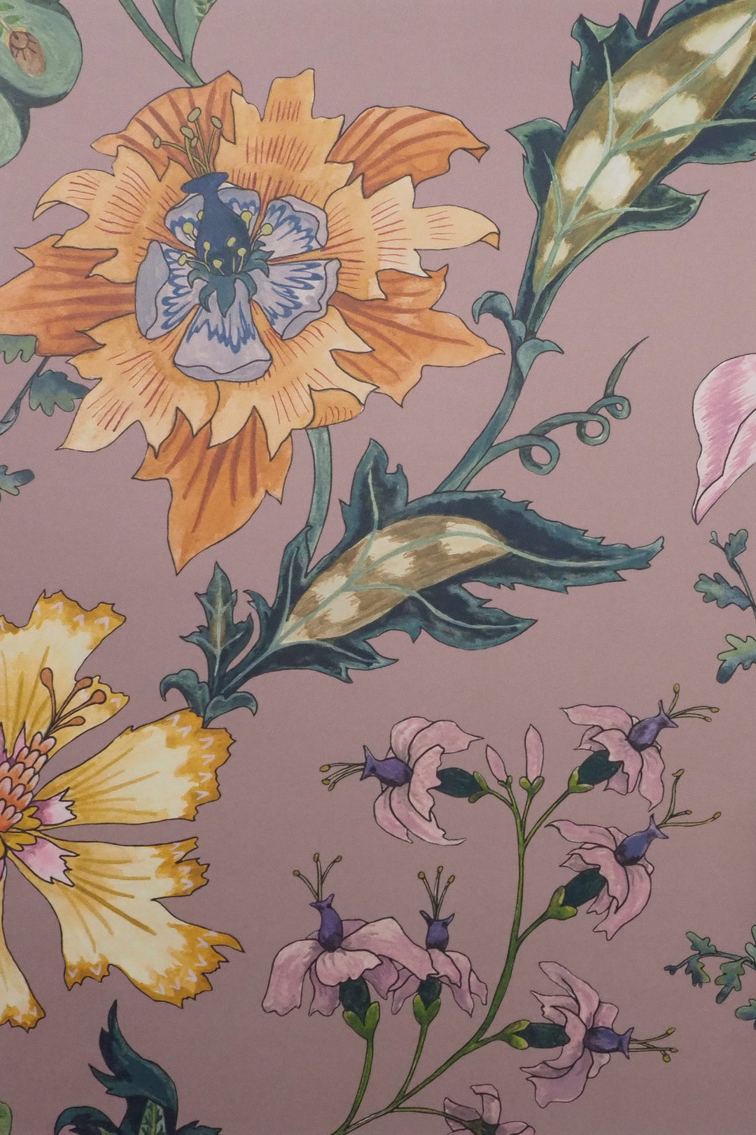 Wildmore-wallpaper-british-designers-floreo-Elegant-delicate-floral-pattern-romantic-vintage-rosa-dusty-rose-background