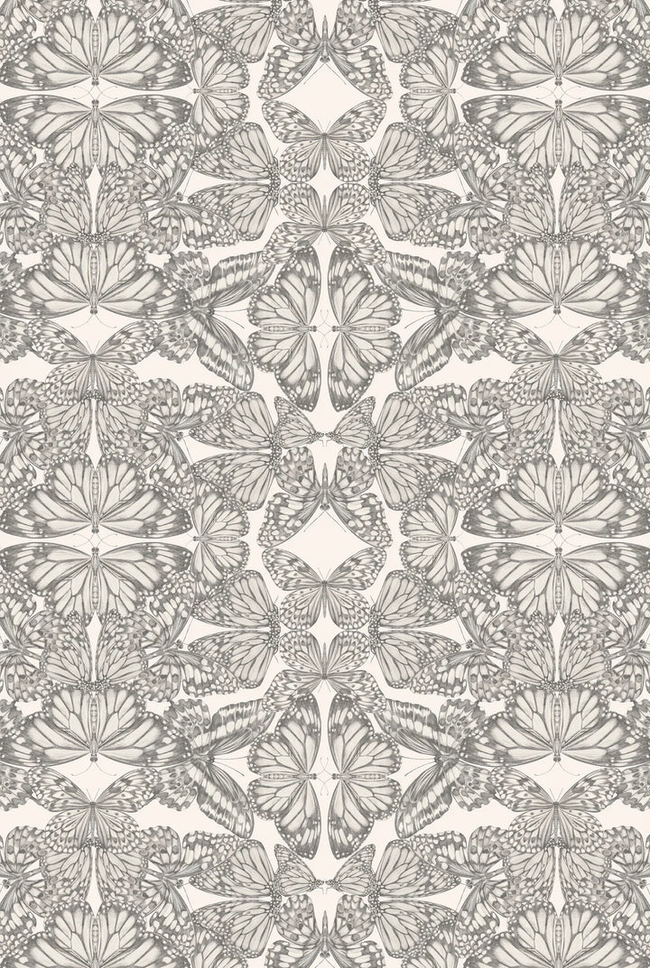 Victoria-Sanders-wallpaper-Papilio-partchment-charcoal-line-hand-drawn-kaleidoscopic-repeat-butterflies-elegant-black-white