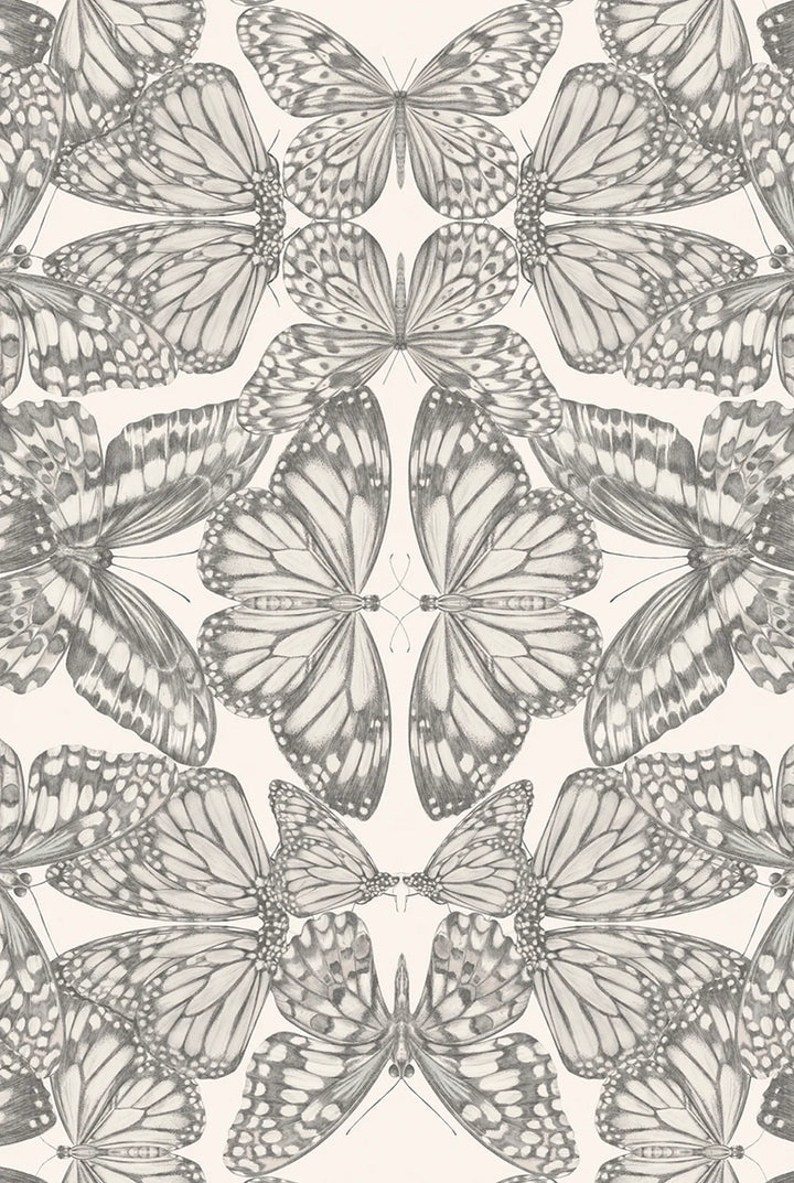 Victoria-Sanders-wallpaper-Papilio-partchment-charcoal-line-hand-drawn-kaleidoscopic-repeat-butterflies-elegant-black-white