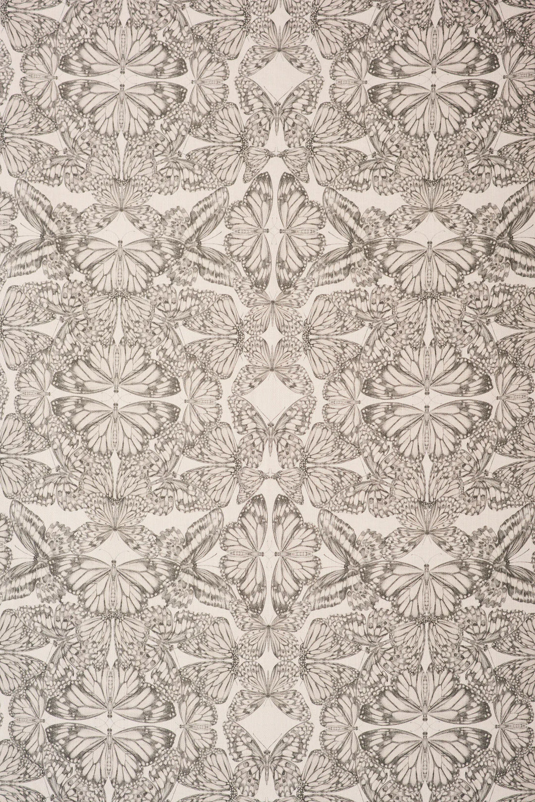 Victoria-sanders-Papilio-parchment-lonen-oyster-charcoal-hand-drawn-butterfly-print-kaleidoscopic-repeat