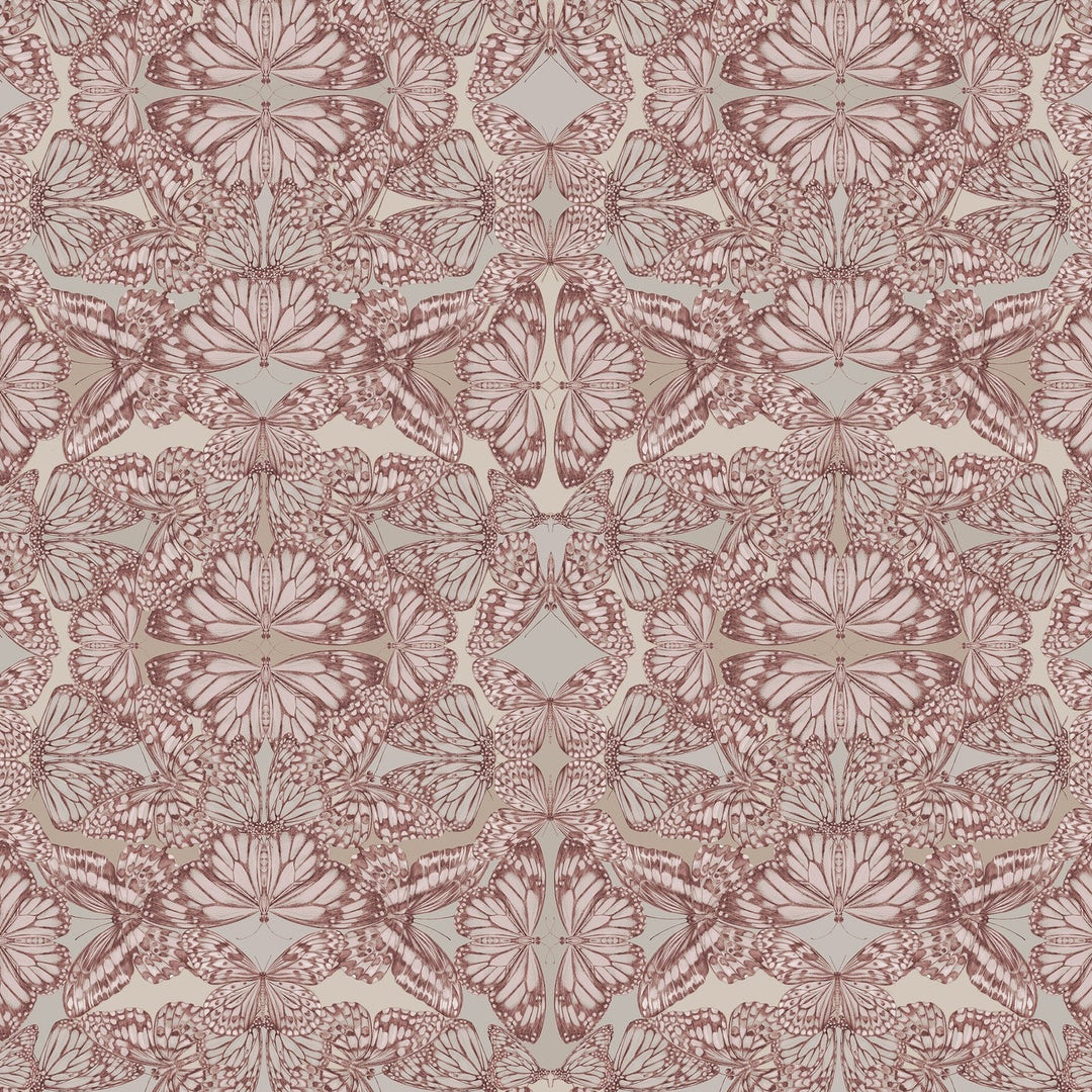 Victoria-Sanders-Papilio-butterfly-kaleidoscopic-print-hand-drawn-repeat-wallpaper-Rosa-pink