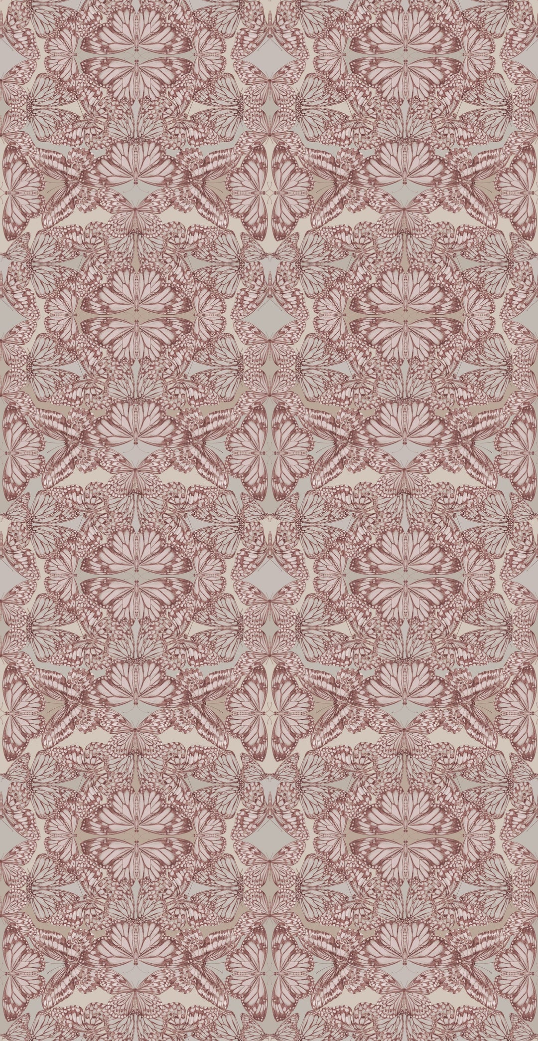 Victoria-Sanders-Papilio-butterfly-kaleidoscopic-print-hand-drawn-repeat-wallpaper-Rosa-pink