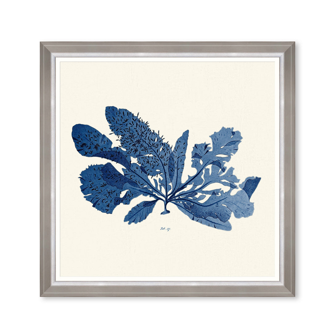 mind-the-gap-seaweed-indigo-framed-art
