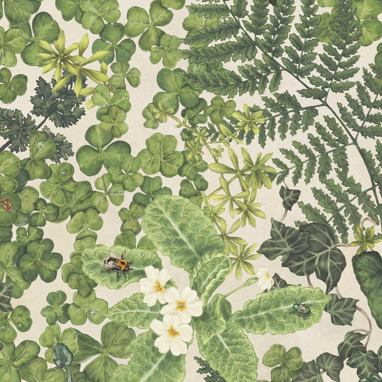Studio-le-Cocq-Woodland-floor-wallpaper-in-Day-botanical-hand-drawn-intricantly-painted-lush-underfoot-growth-fern-plants-critters-bees-against-cream-background