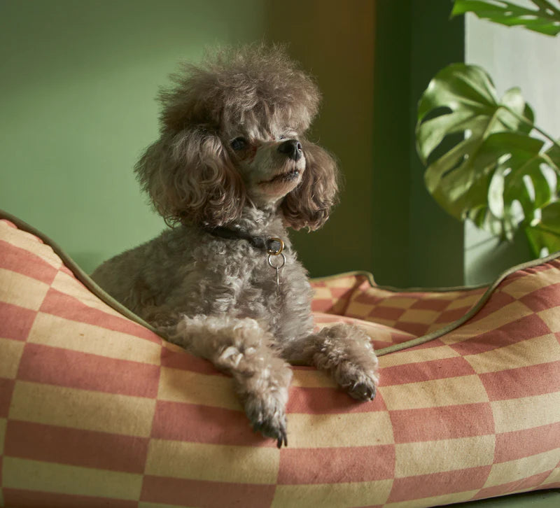 Poodle-and-Blinde-Poodle-Parlour-linen-fabric-textile-five-pampered-hair-salon-poodle-illustrated-images-fancy-dog-textiles-pink-background