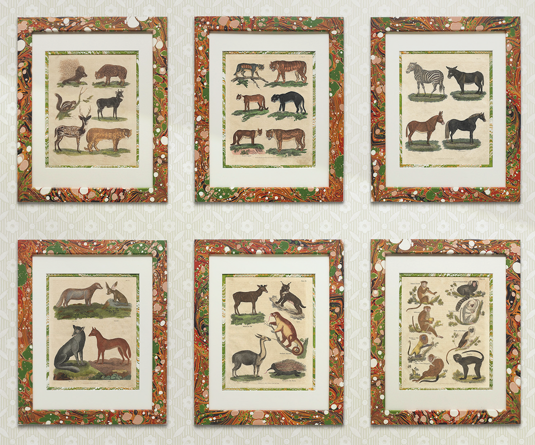 wildmore-the-design-yard-artwork-series-animal-framed-art-marble