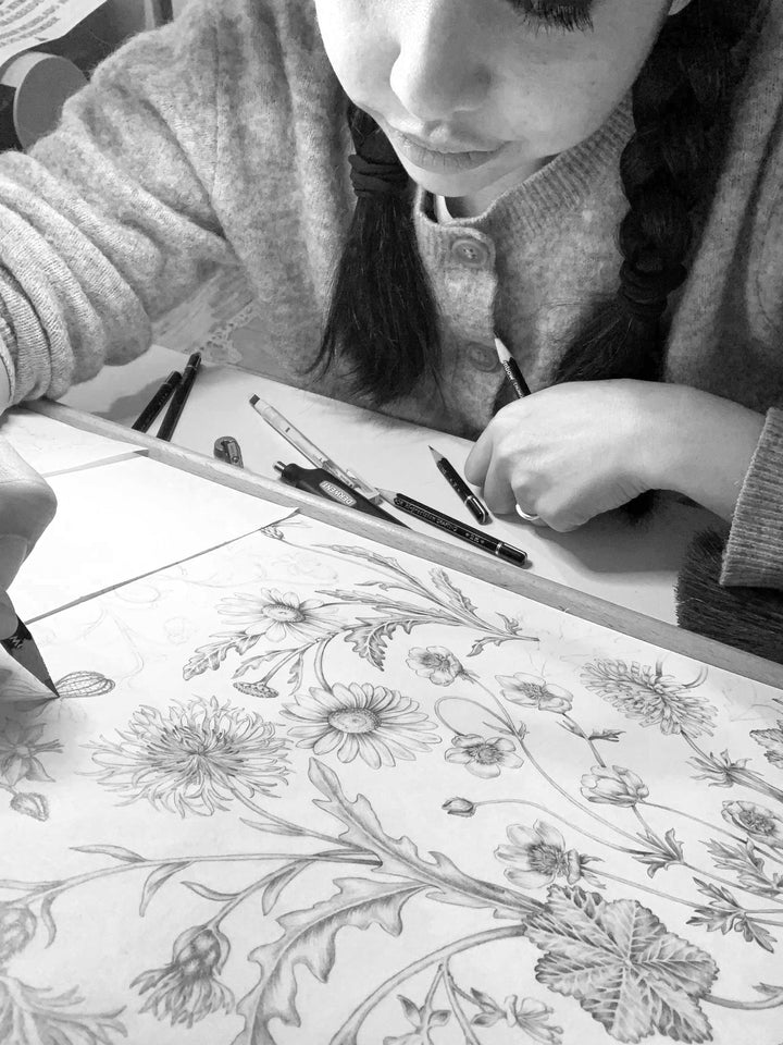 Studio-le-coq-the-lost-garden-wallpaper-ebony-black-base-bright-flowers-botanical-traditional-hand-drawn-illustration
