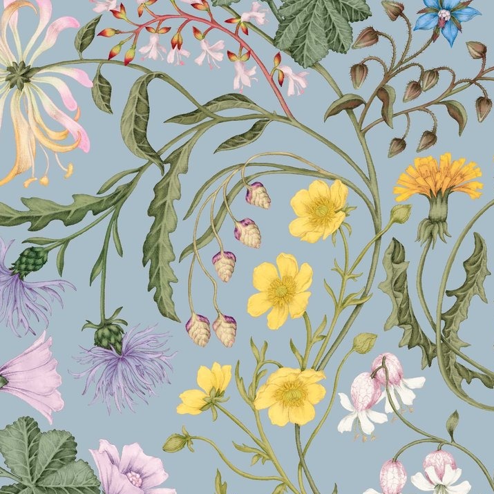 studio-le-coc-the-lost-garden-coastal-blue-botanicl-wallpaper-woodland-chintz-print-floral-launa-traditional-hand-drawn-illustration