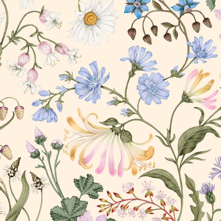 Studio-Le-Coq-the-lost-garden-wallpaper-ecru-soft-cream-base-botanical-hand-drawn-illustration-sprinf-florals-daisys-fern-leaves-pattern