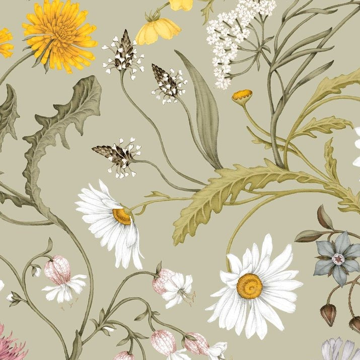 Studio-Le-Coq-The-lost-garden-wallpaper-pear-green-woodland-botanical-chintz-pattern-daisy-bees-flowers-dandilions-cowslip-fern-spring-traditional-hand-illustrated-artisan-pattern