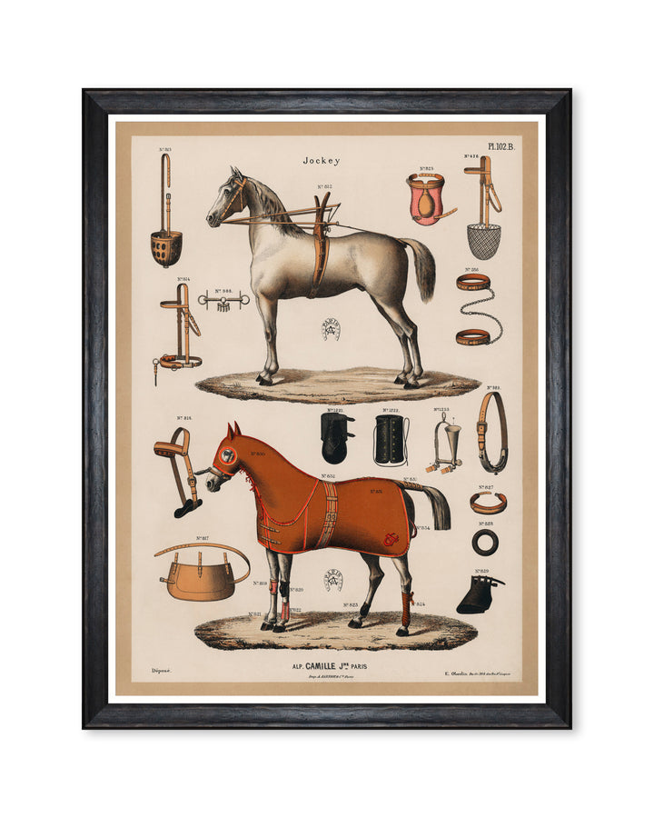 mind-the-gap-the-riding-equipment-horse-illustrations