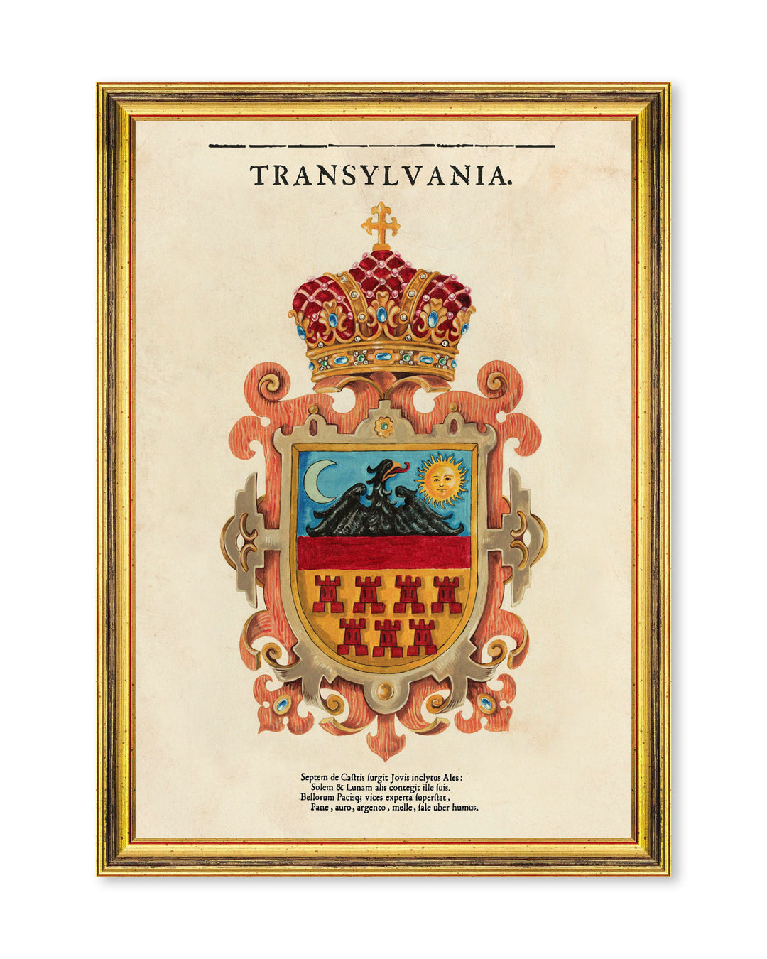Transylvania Saxon Crest Small Framed Art